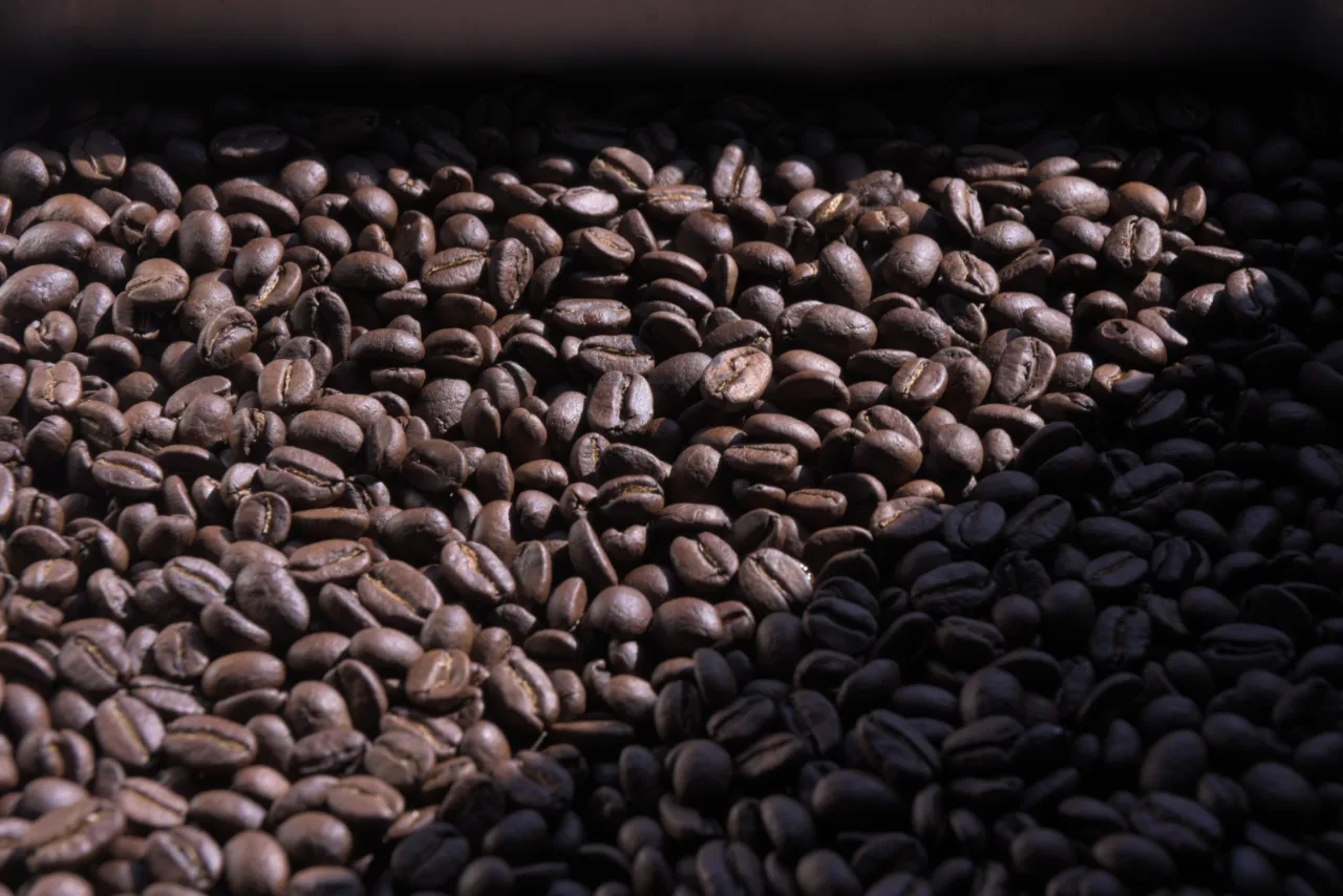 焙煎したてのコーヒー豆。